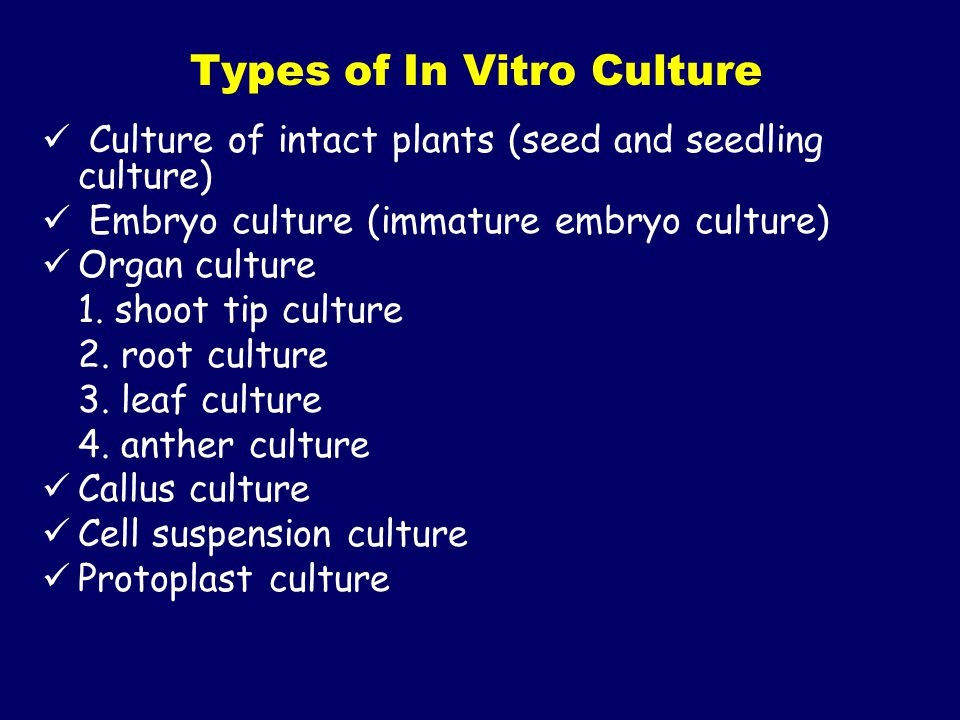Types of In Vitro Culture