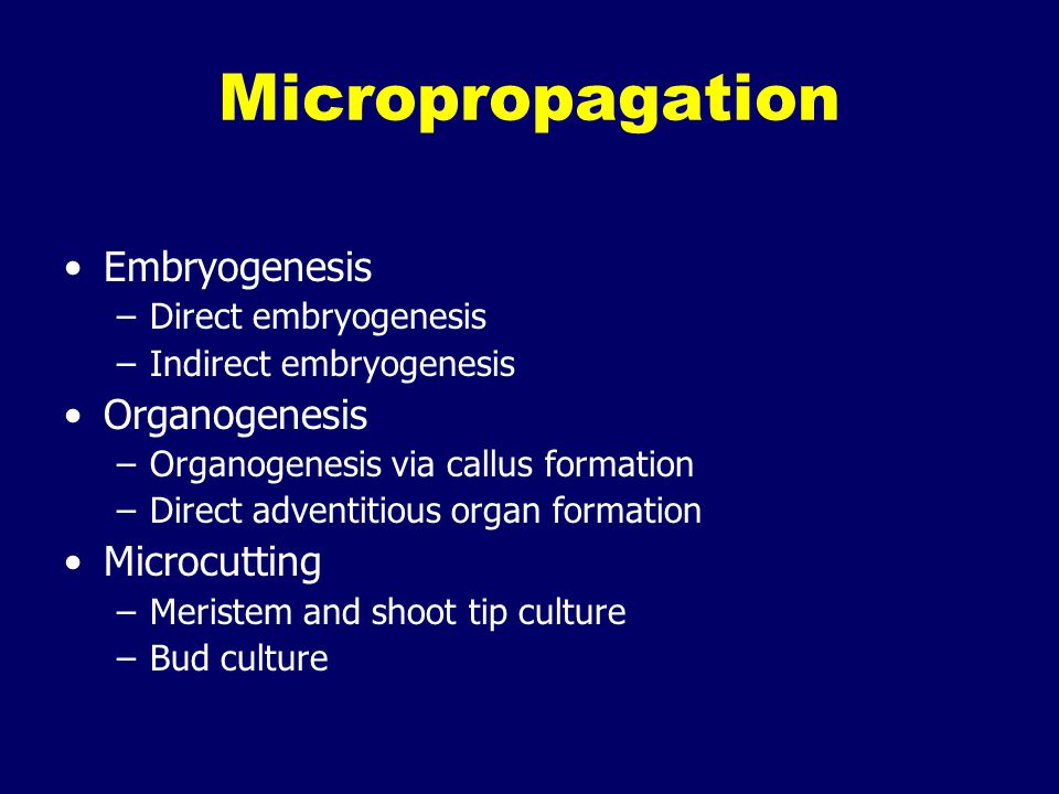 Micropropagation Embryogenesis Organogenesis Microcutting