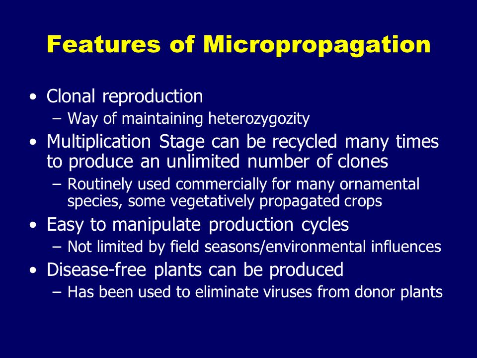 Features of Micropropagation