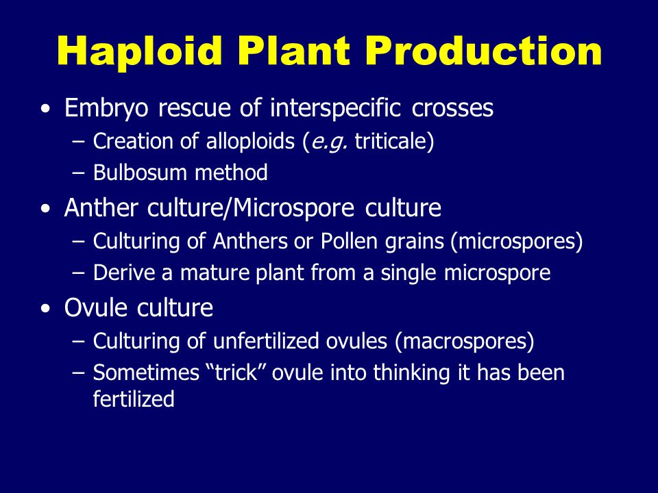 Haploid Plant Production