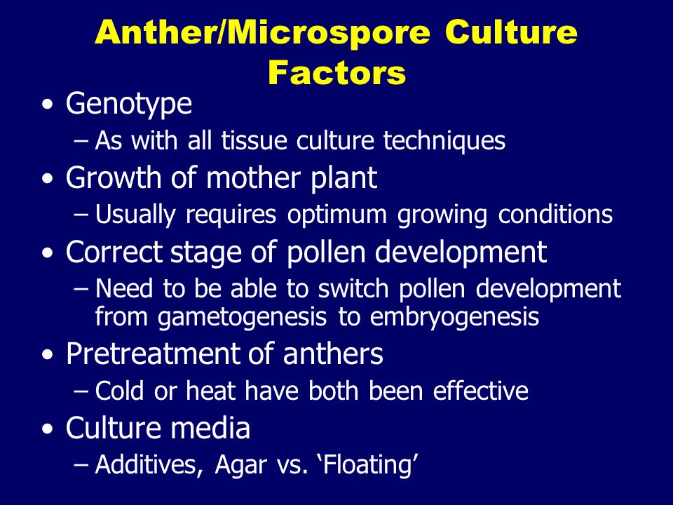 Anther/Microspore Culture Factors