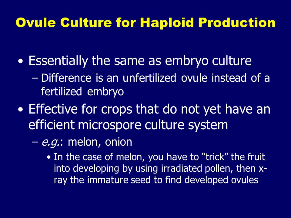 Ovule Culture for Haploid Production