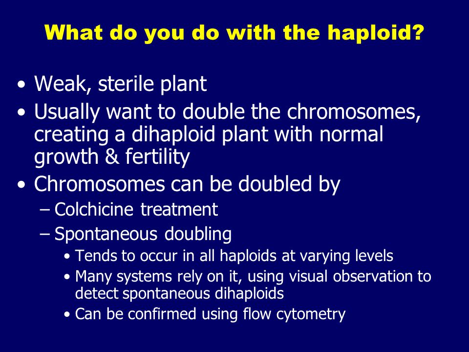What do you do with the haploid