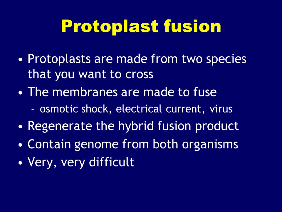Protoplast fusion Protoplasts are made from two species that you want to cross. The membranes are made to fuse.