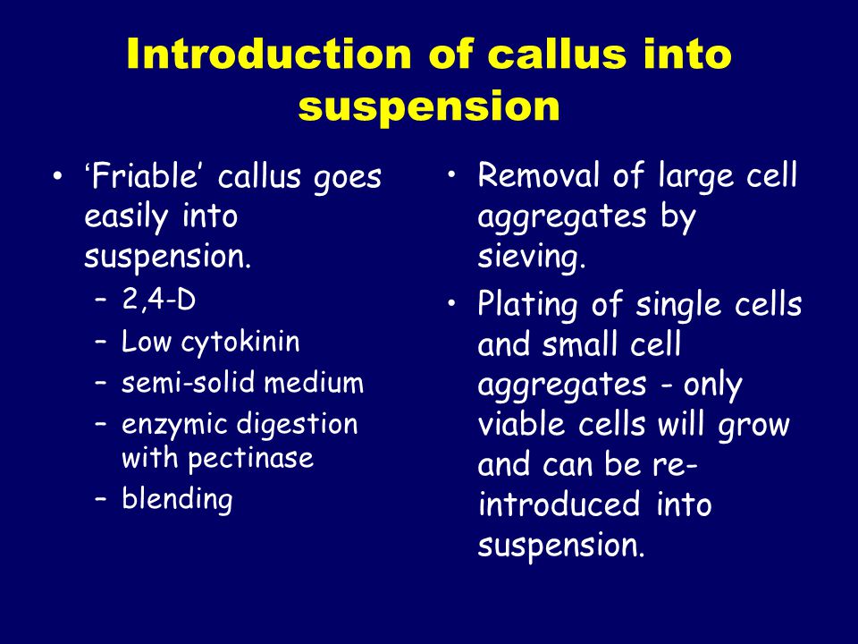 Introduction of callus into suspension
