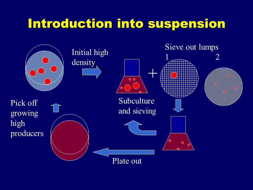 Introduction into suspension