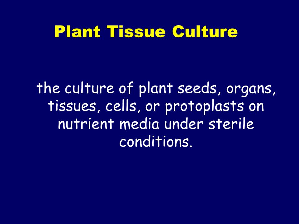 Plant Tissue Culture the culture of plant seeds, organs, tissues, cells, or protoplasts on nutrient media under sterile conditions.