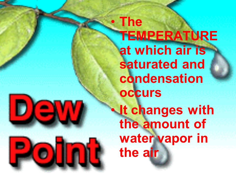 The TEMPERATURE at which air is saturated and condensation occurs