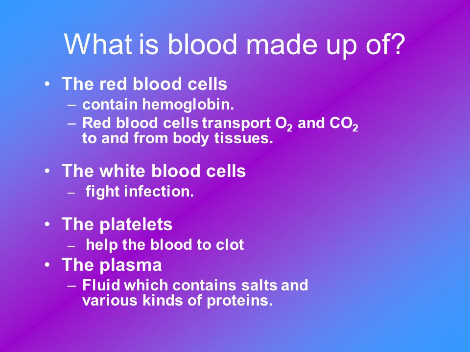 What is blood made up of The red blood cells The white blood cells