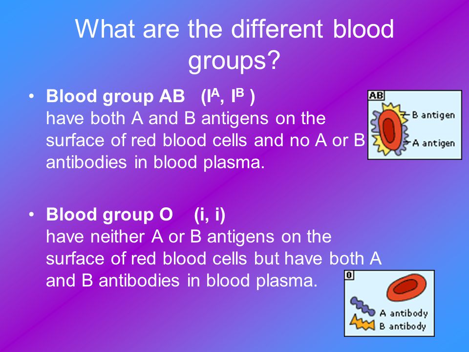 What are the different blood groups