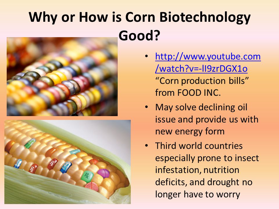 Why or How is Corn Biotechnology Good