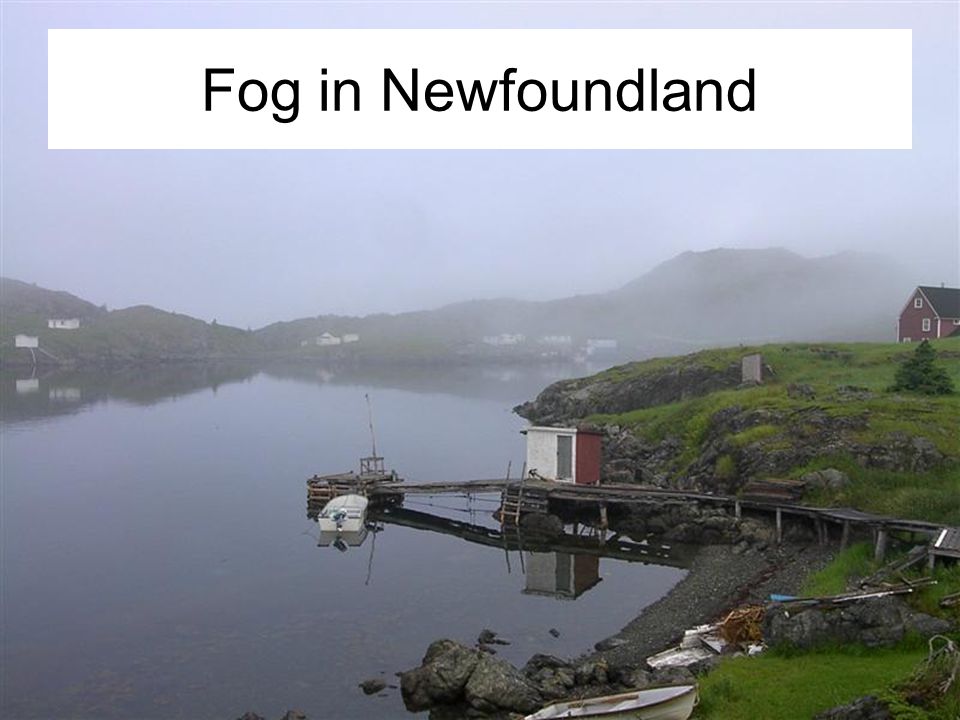 Fog in Newfoundland