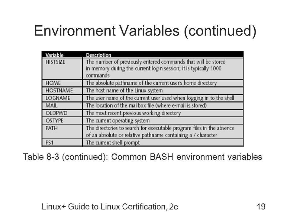 Environment Variables (continued)