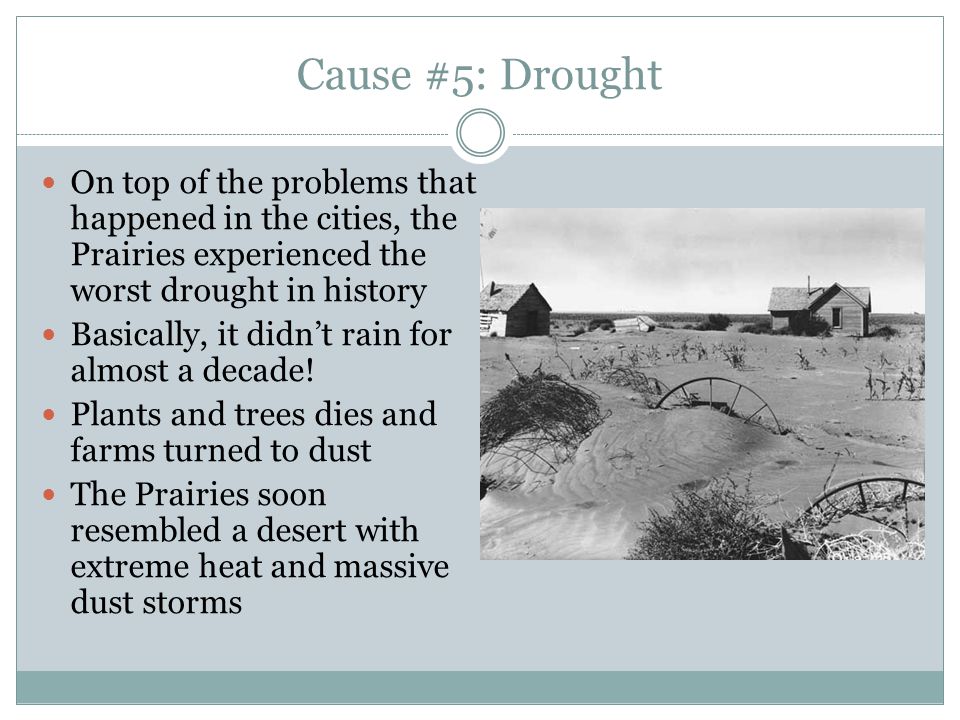 Cause #5: Drought On top of the problems that happened in the cities, the Prairies experienced the worst drought in history.