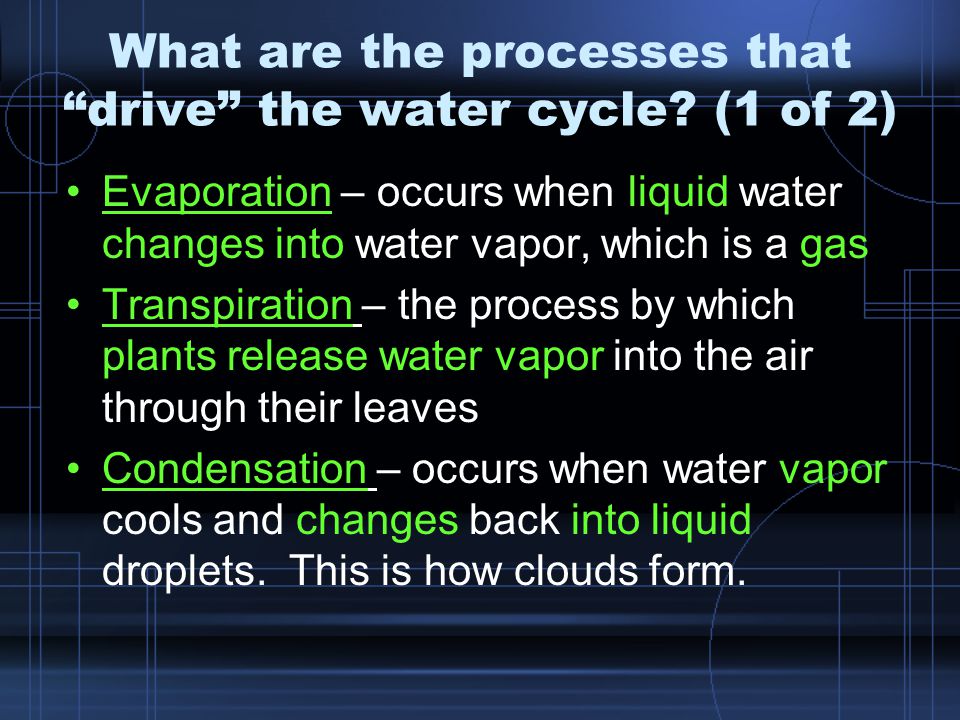 What are the processes that drive the water cycle (1 of 2)