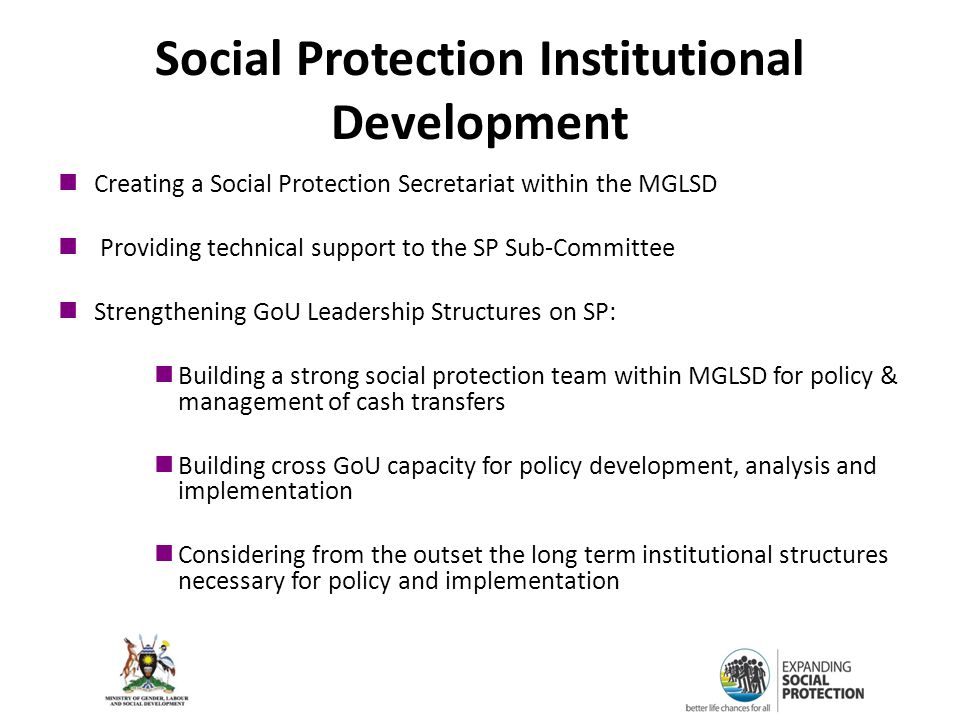 Social Protection Institutional Development