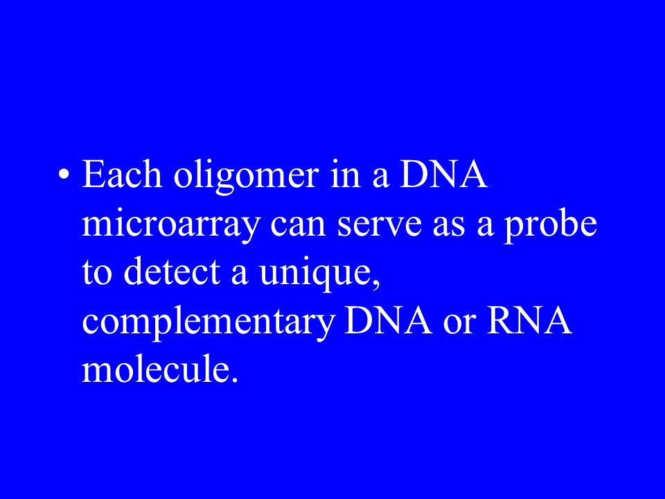 Each oligomer in a DNA microarray can serve as a probe to detect a unique, complementary DNA or RNA molecule.