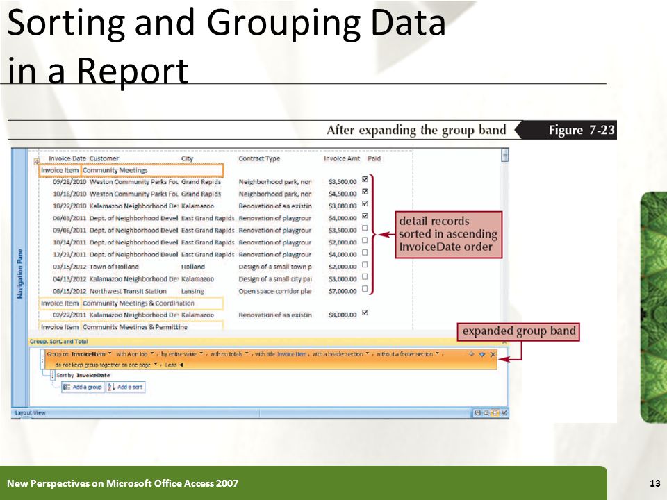 Sorting and Grouping Data in a Report