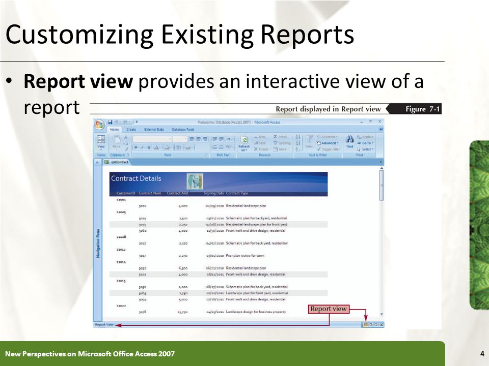 Customizing Existing Reports