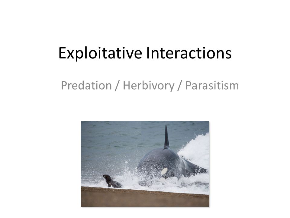 Exploitative Interactions Ppt Video Online Download