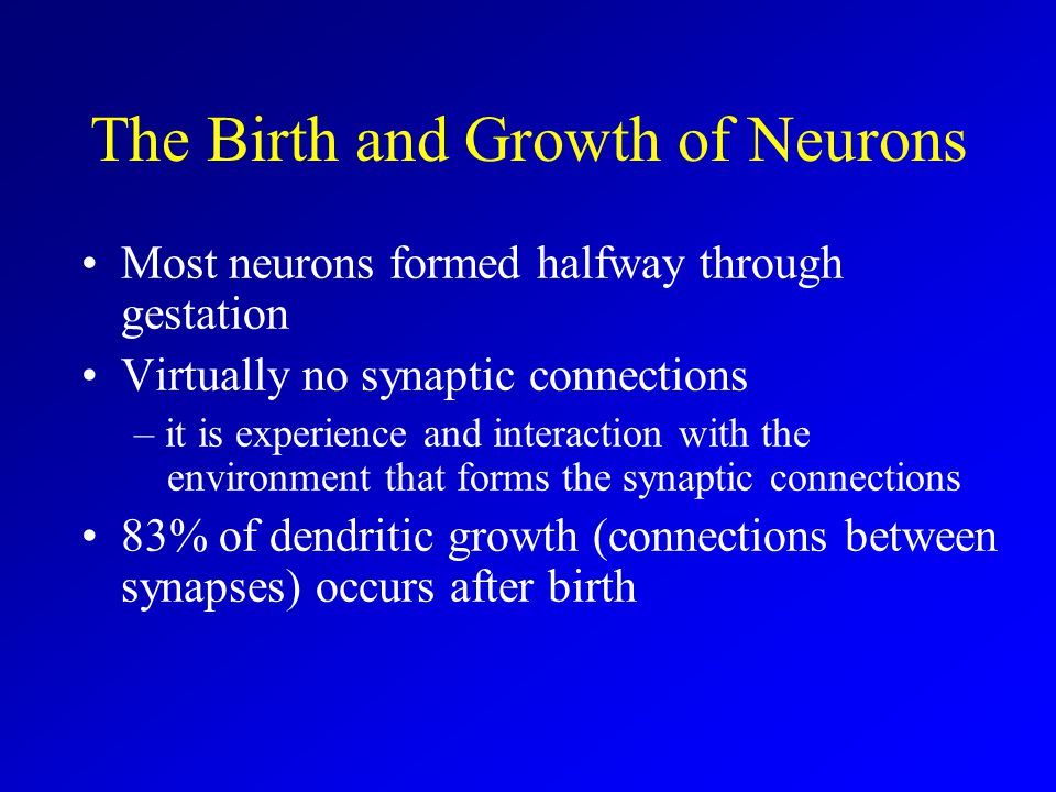 The Birth and Growth of Neurons