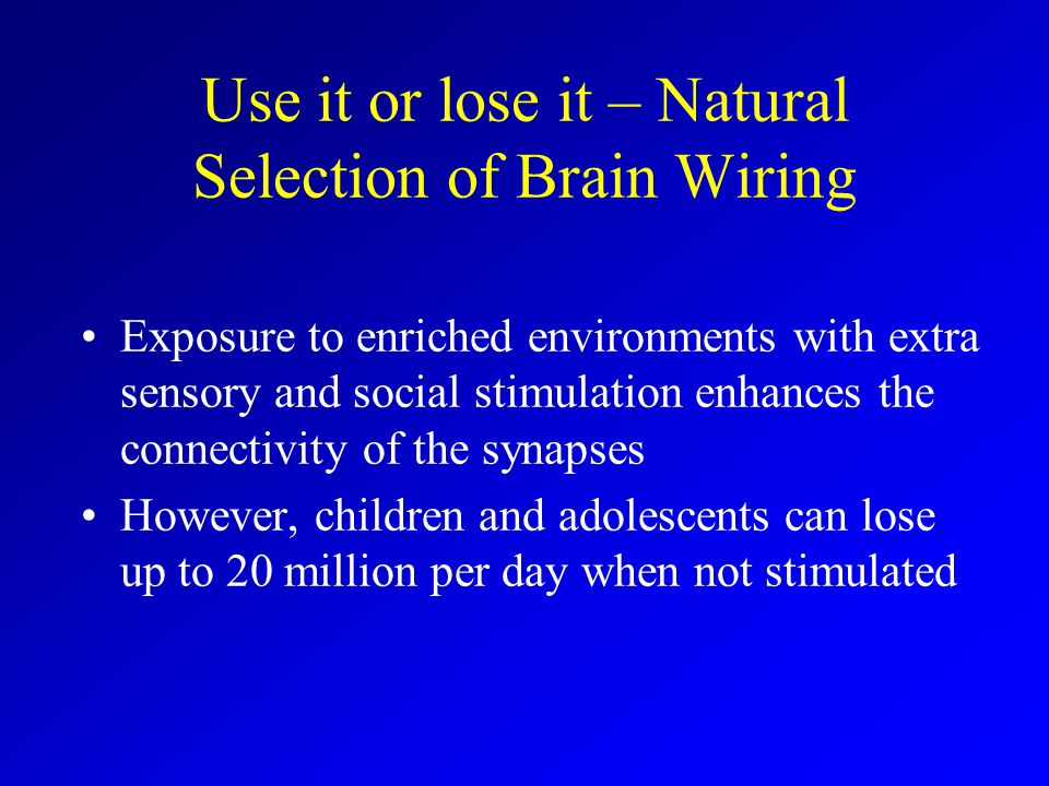 Use it or lose it – Natural Selection of Brain Wiring