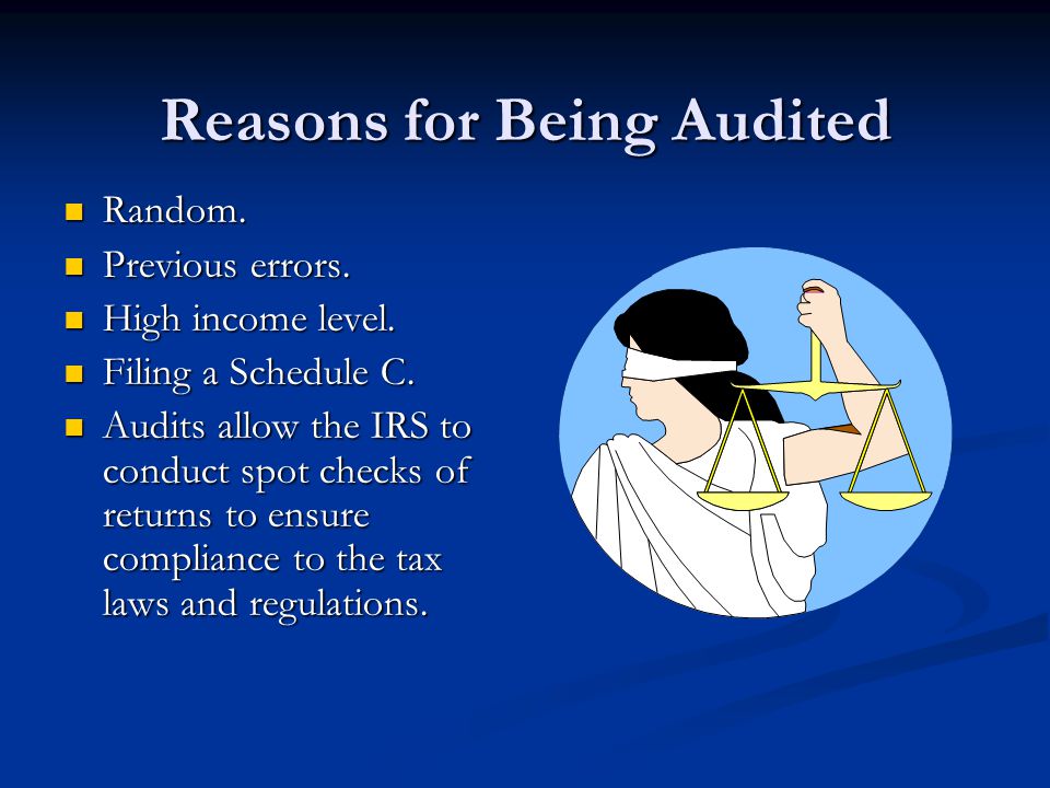 Reasons for Being Audited