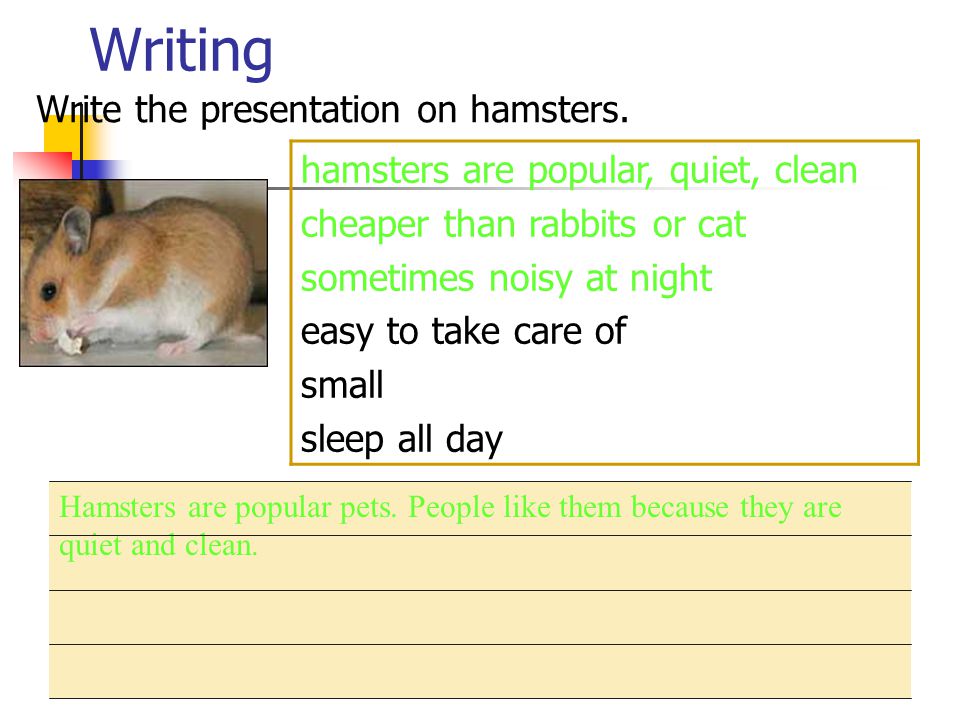 Writing hamsters are popular, quiet, clean
