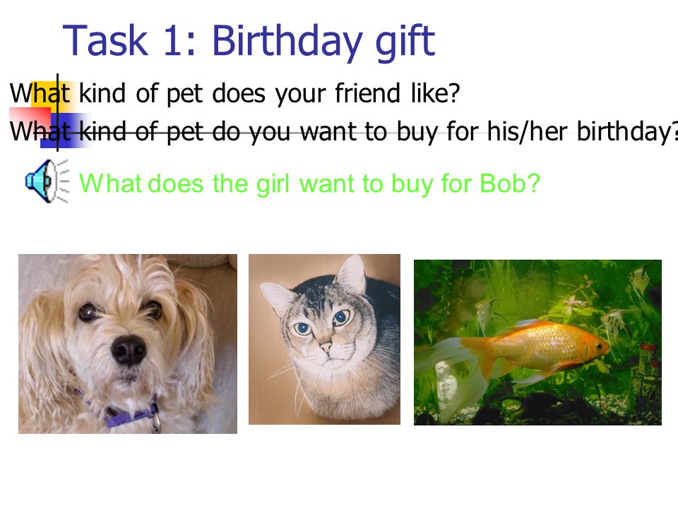 Task 1: Birthday gift What kind of pet does your friend like