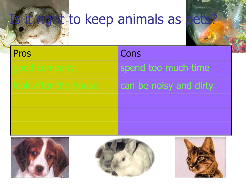Is it right to keep animals as pets