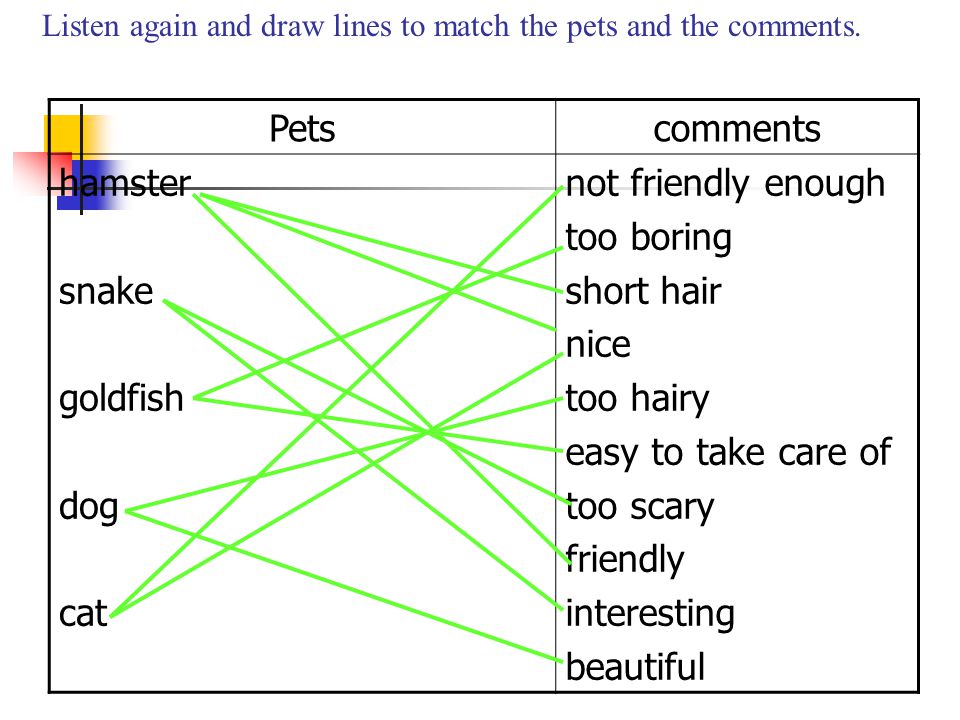 Pets comments hamster snake goldfish dog cat not friendly enough