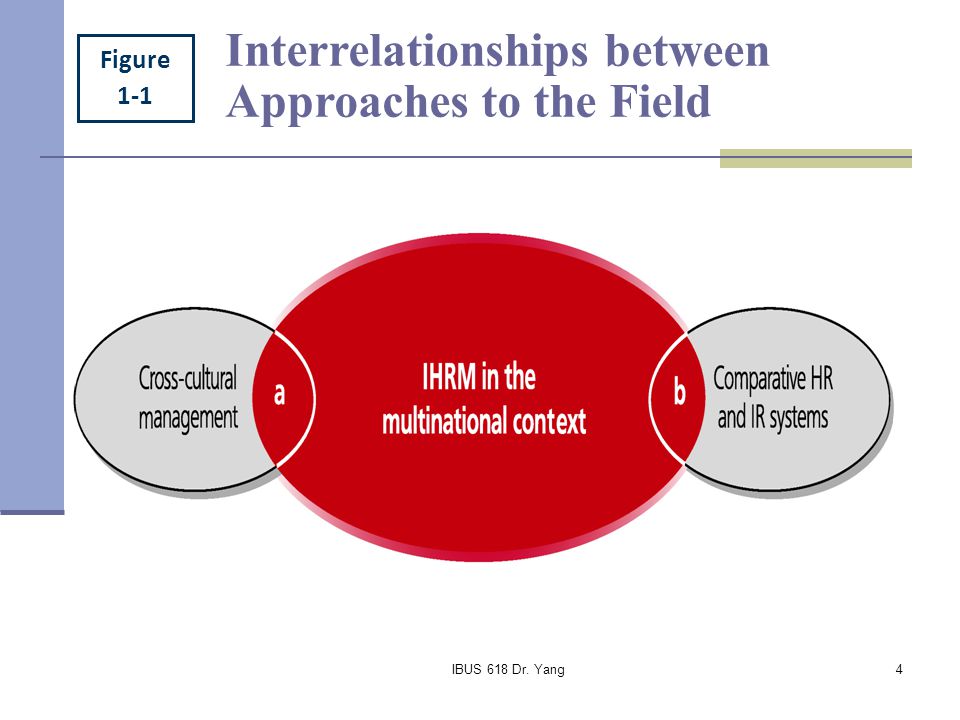 Interrelationships between Approaches to the Field