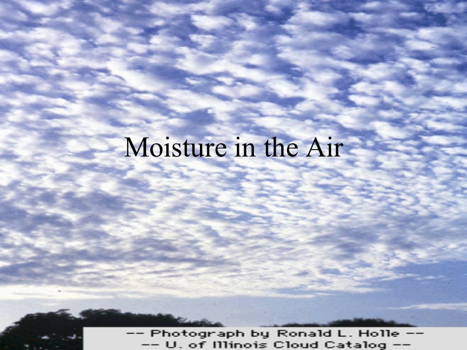 Moisture in the Air
