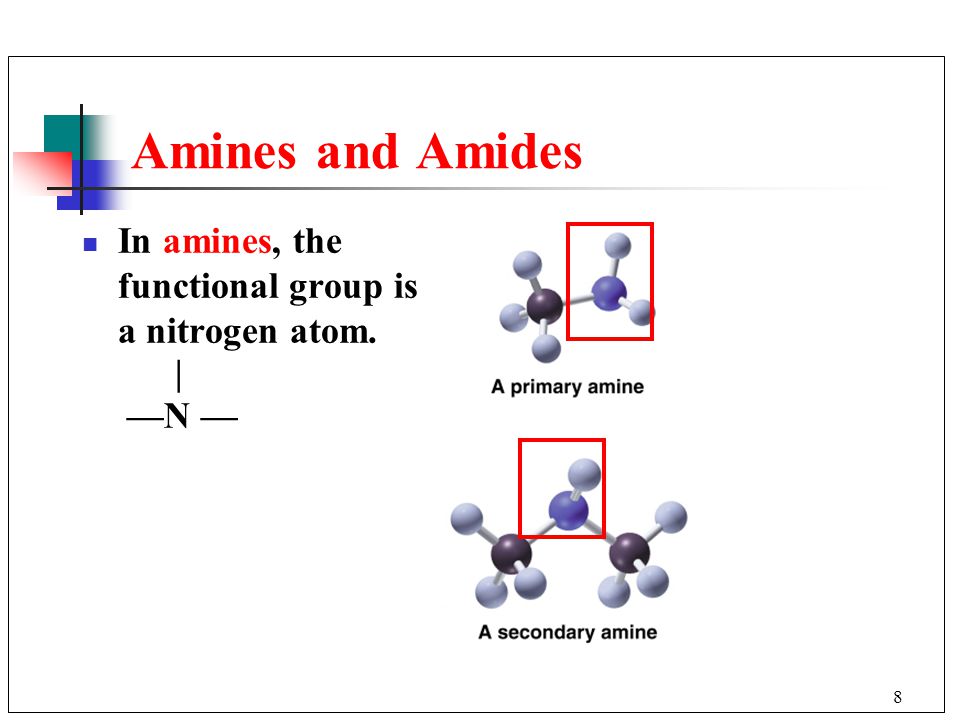 Amines and Amides In amines, the functional group is a nitrogen atom.