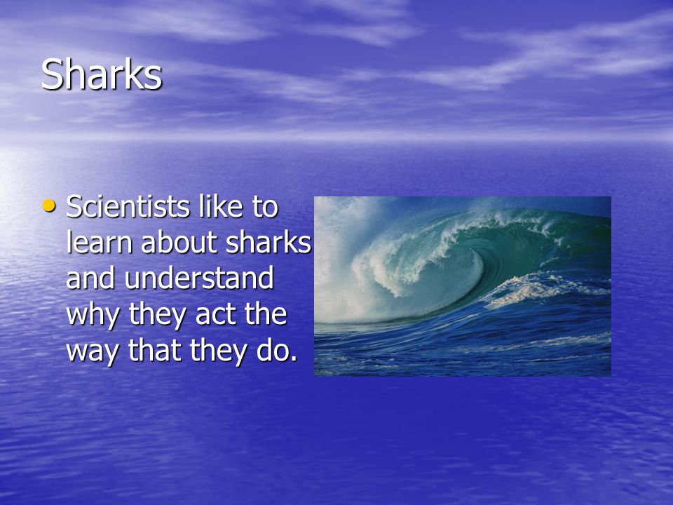 Sharks Scientists like to learn about sharks and understand why they act the way that they do.