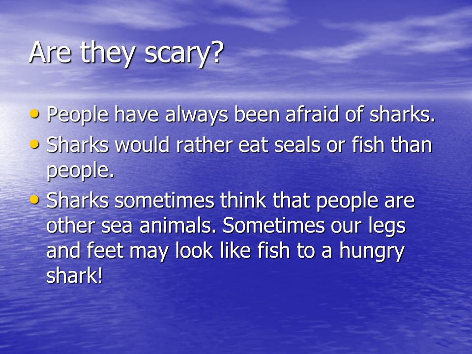 Are they scary People have always been afraid of sharks.
