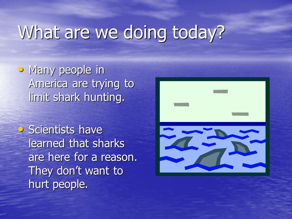 What are we doing today Many people in America are trying to limit shark hunting.