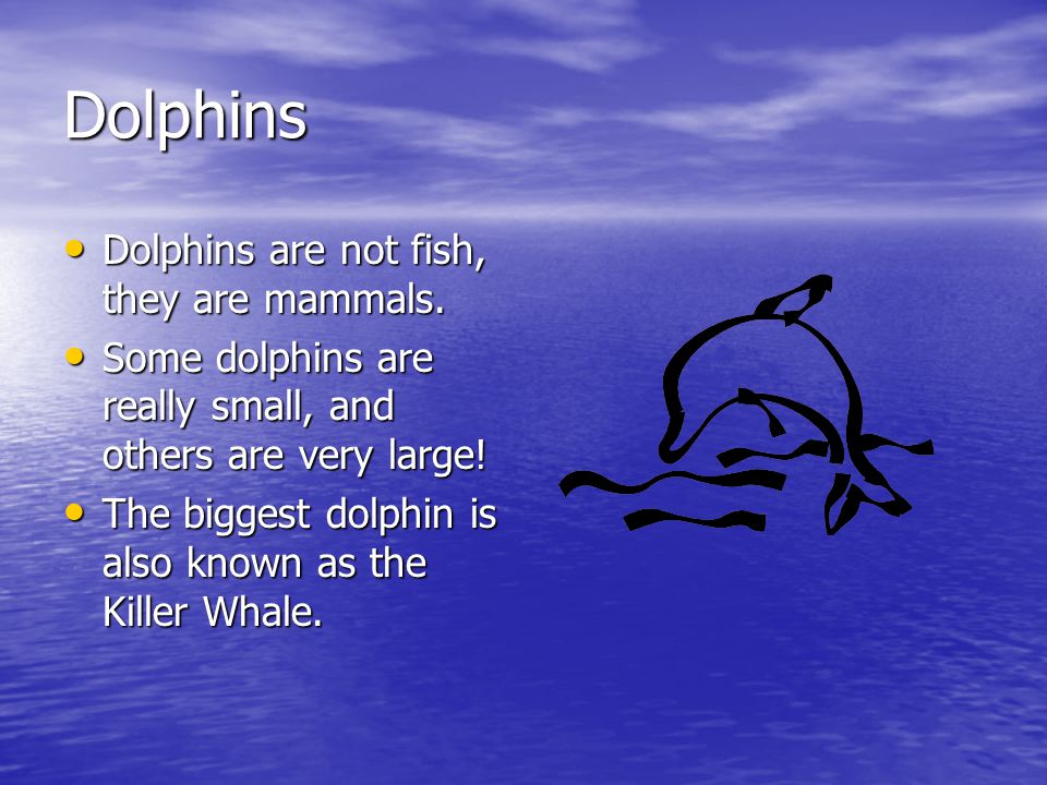 Dolphins Dolphins are not fish, they are mammals.