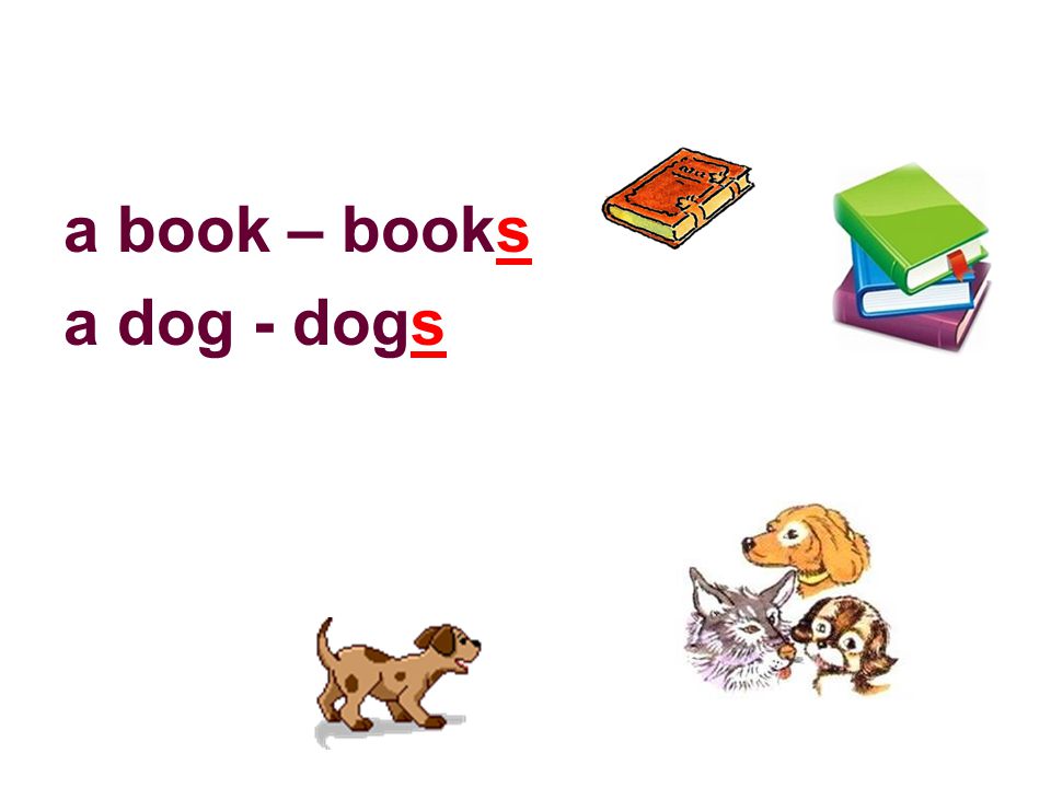a book – books a dog - dogs