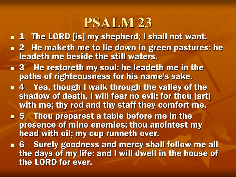 PSALM 23 1 The LORD [is] my shepherd; I shall not want.