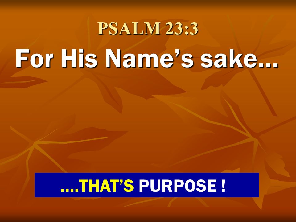 PSALM 23:3 For His Name’s sake… ….THAT’S PURPOSE !