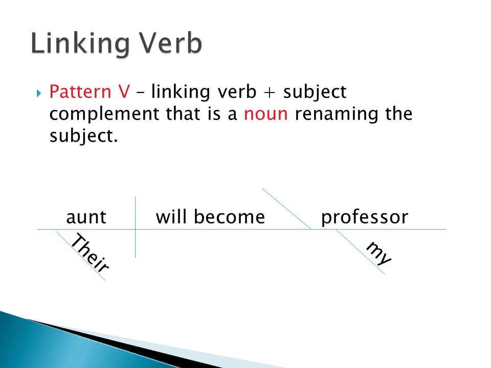 Linking Verb aunt will become professor Their my