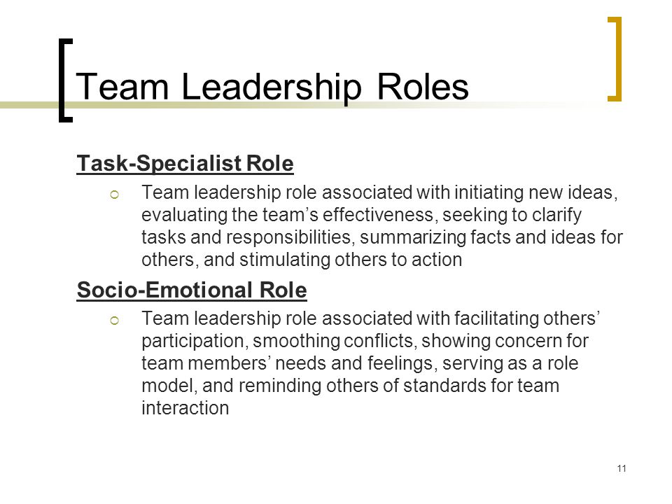 Team Leadership Roles Task-Specialist Role Socio-Emotional Role
