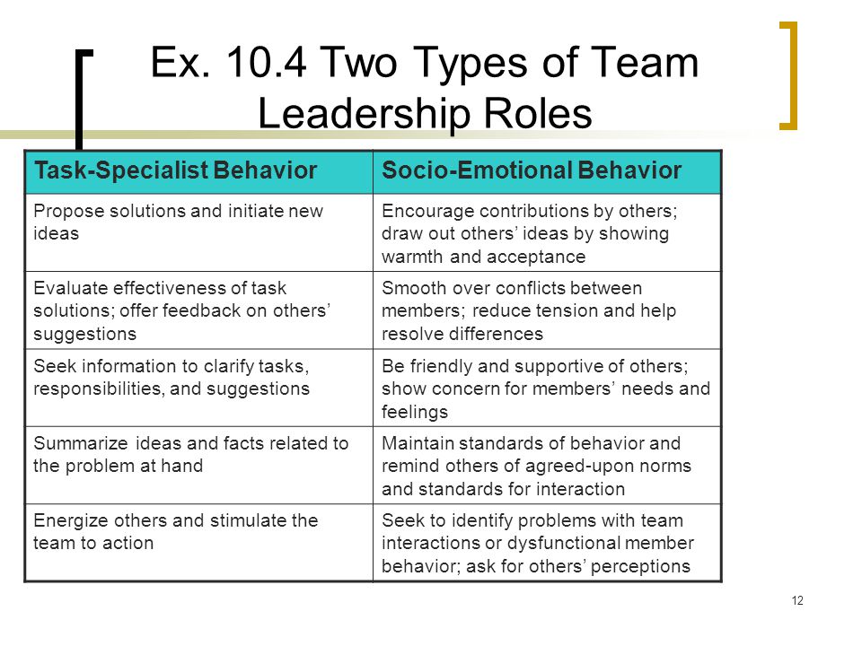 Ex Two Types of Team Leadership Roles