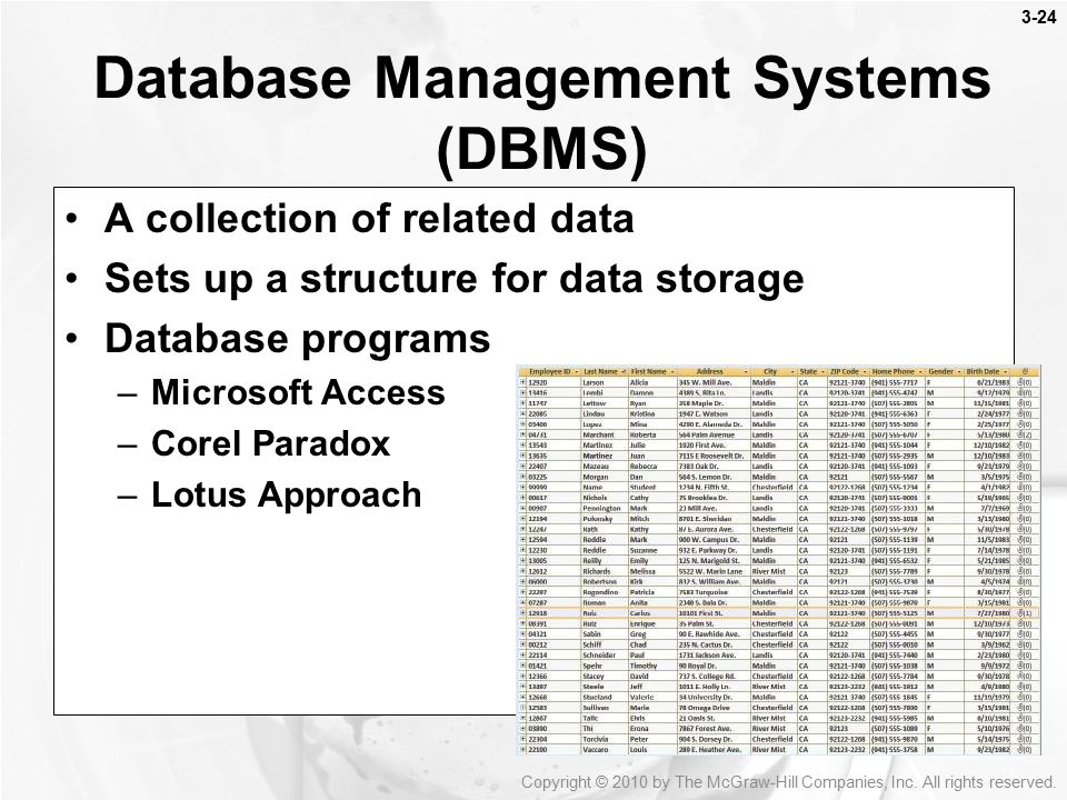 Database Management Systems (DBMS)