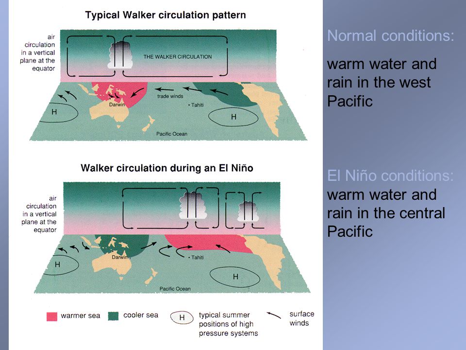 Normal conditions: warm water and rain in the west Pacific.