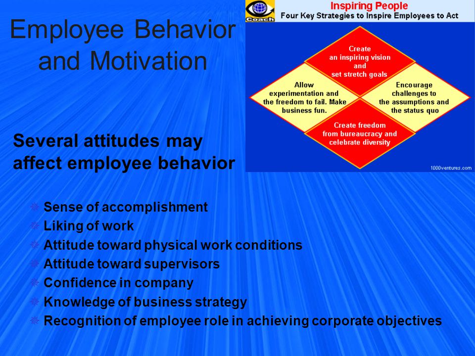 Employee Behavior and Motivation