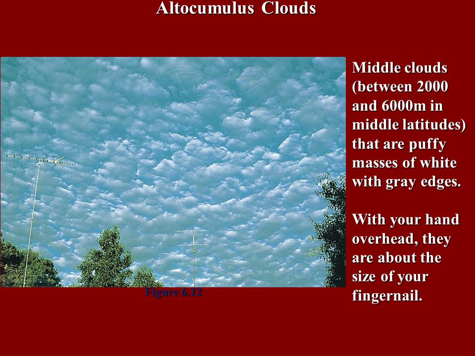 Altocumulus Clouds Middle clouds (between 2000 and 6000m in middle latitudes) that are puffy masses of white with gray edges.