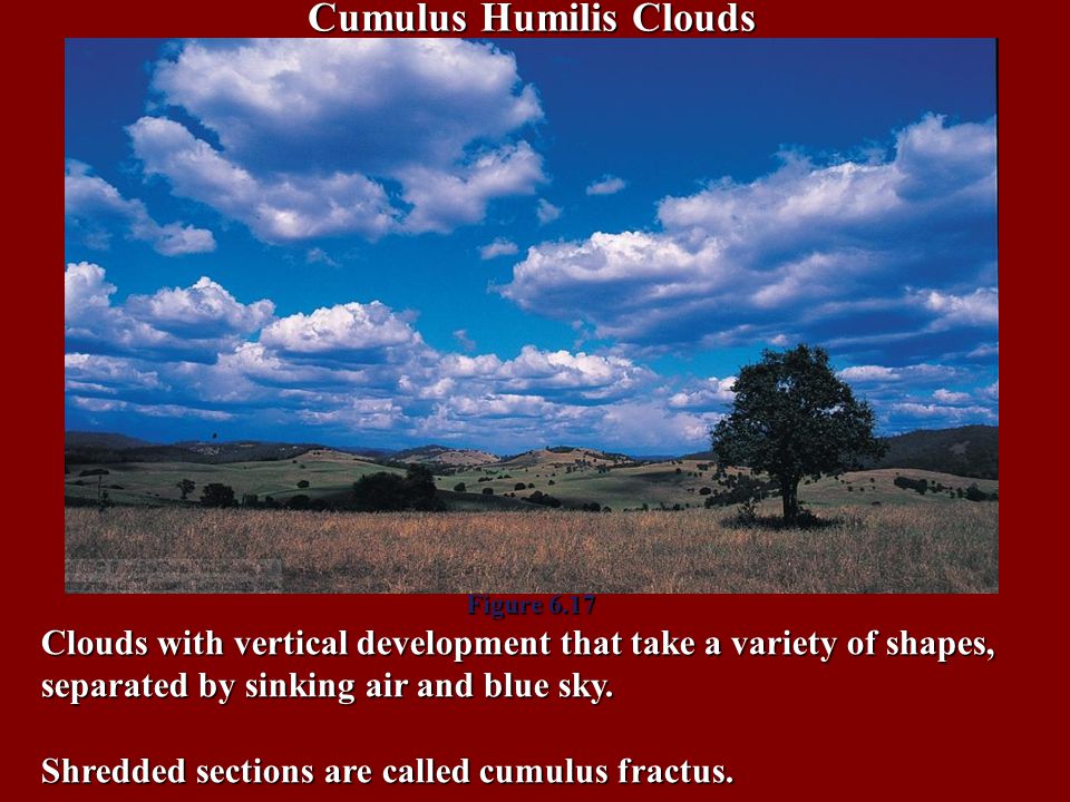 Cumulus Humilis Clouds