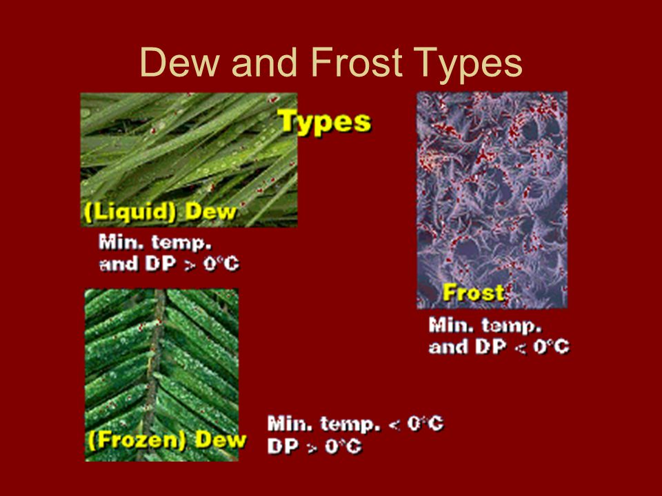 Dew and Frost Types